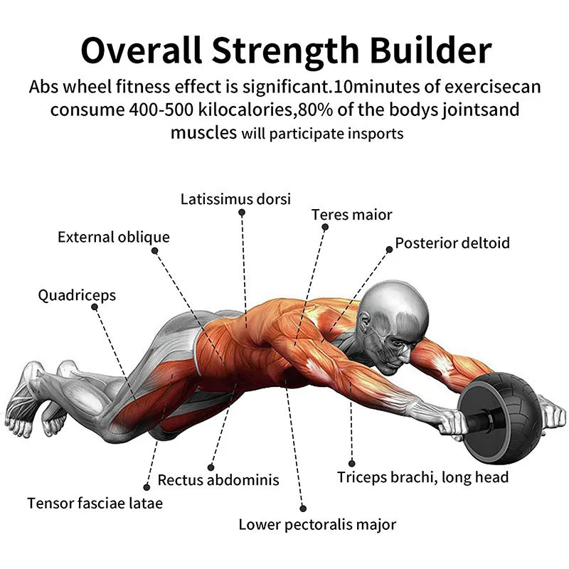 Abdominal Wheel